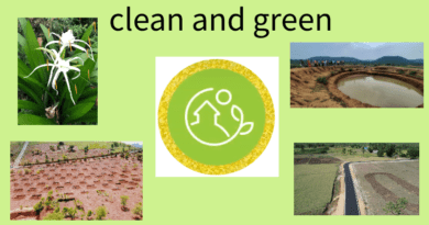 clean and green village