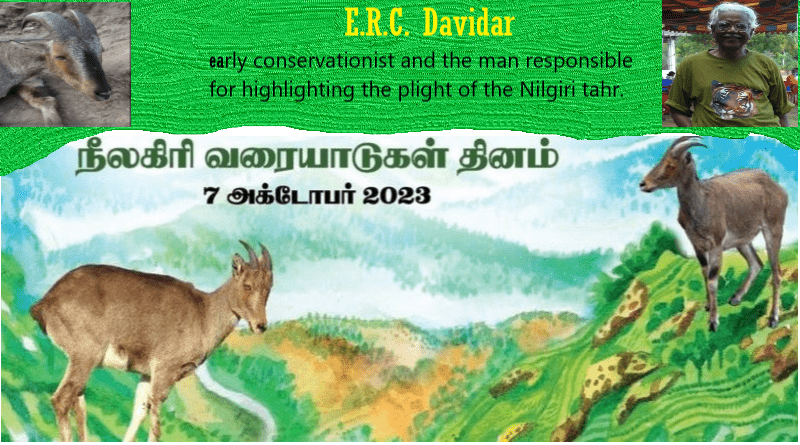 Nilgiri Tahr day celebration