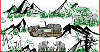 Do elephants call each other by human-like names