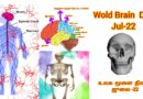 world brain day July -22