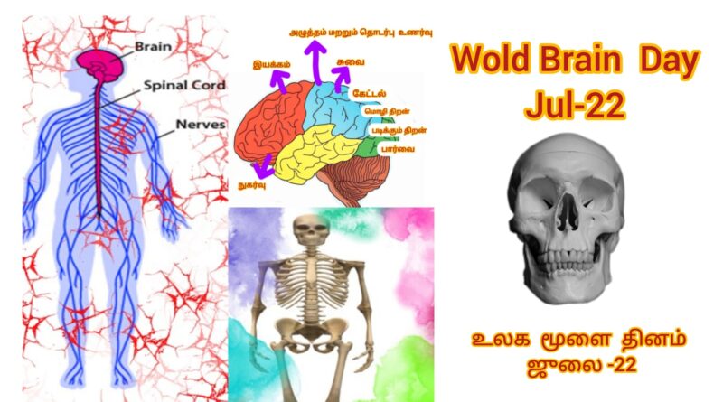 world brain day July -22